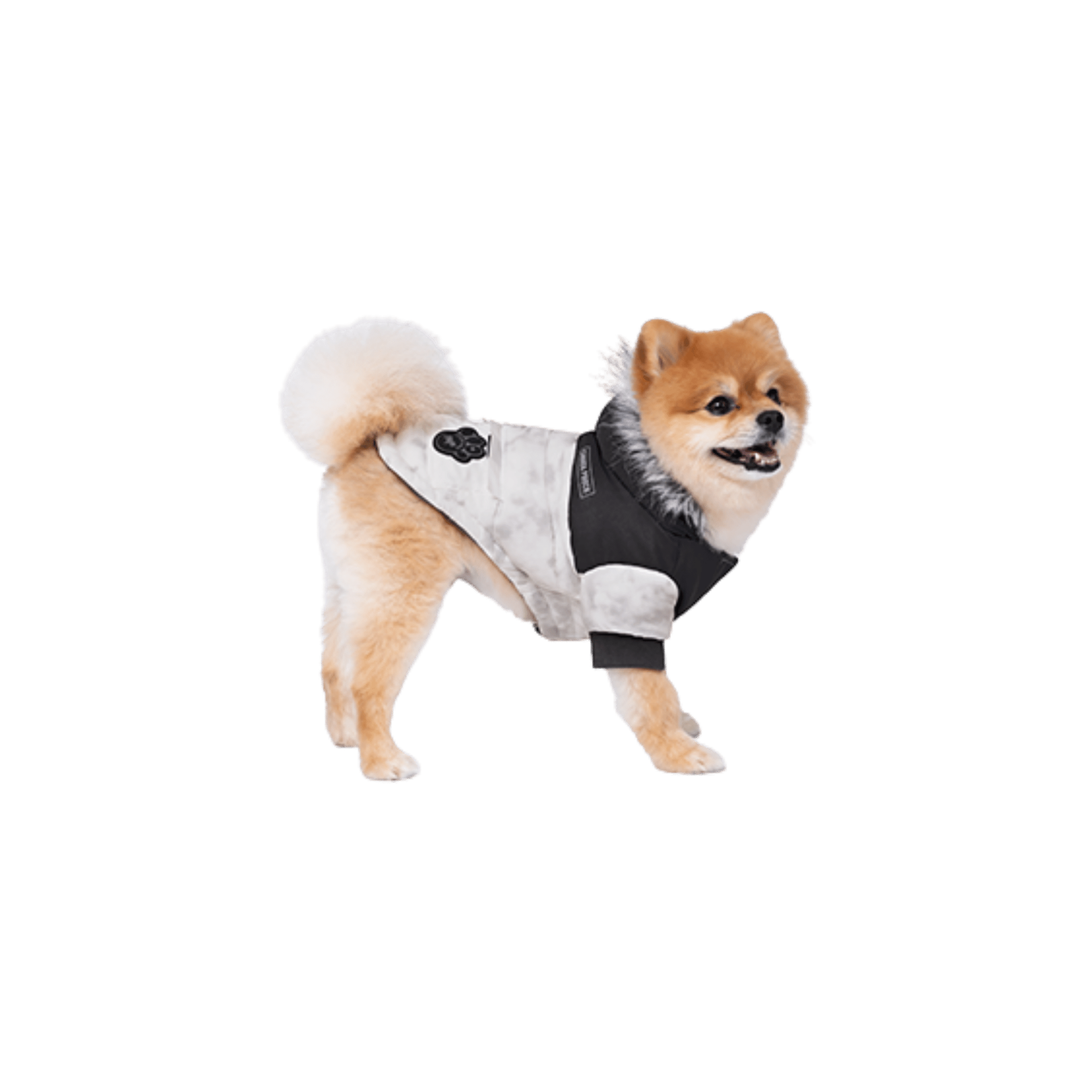 Petit Chien - Grand Style - Parka Alaska