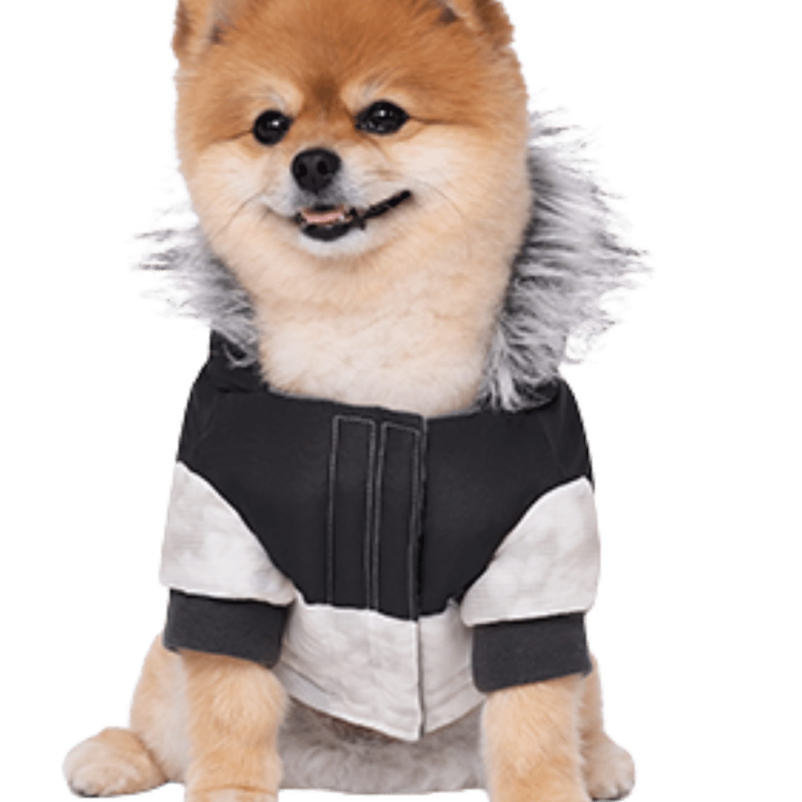 Small Dog - Big Style - Alaska Parka