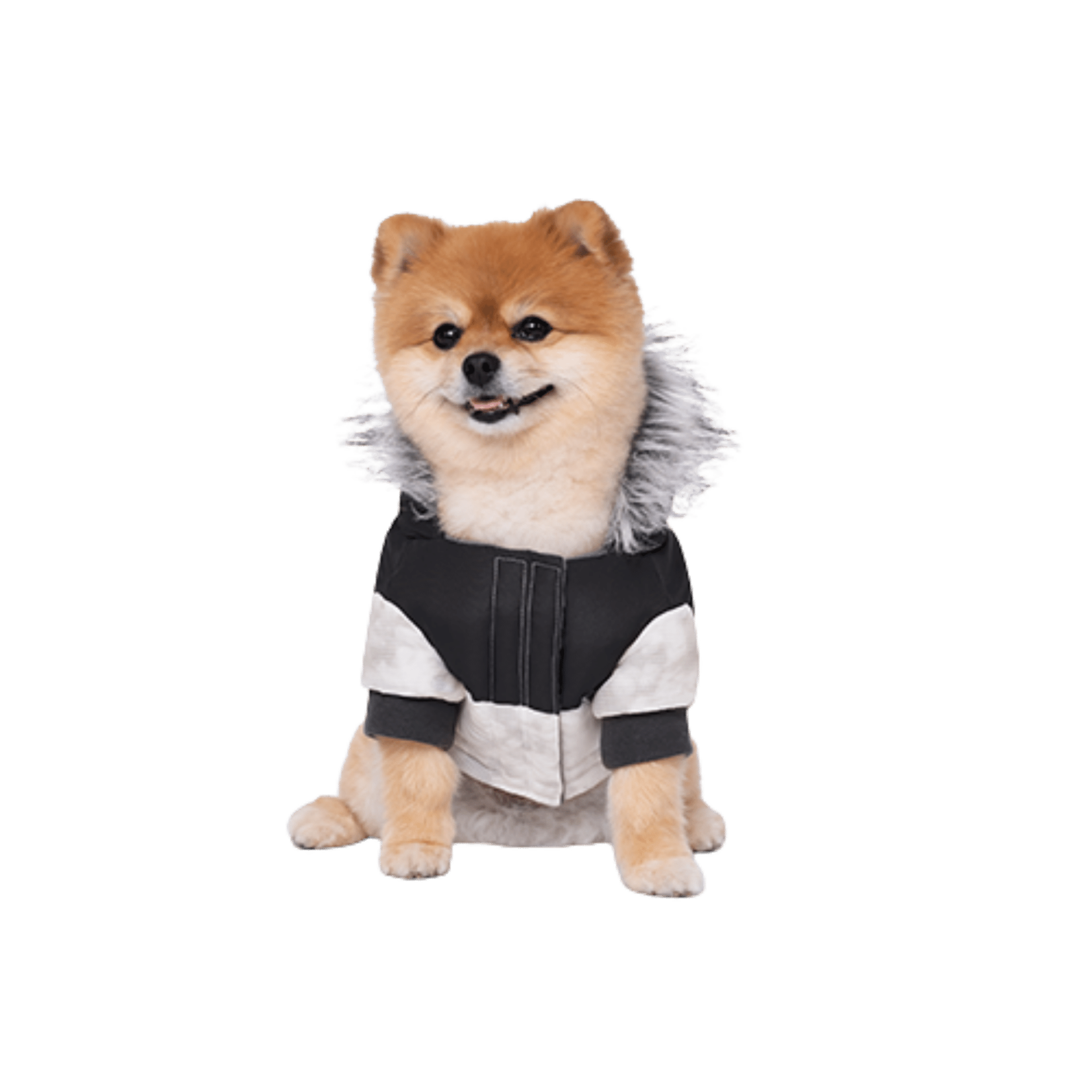 Petit Chien - Grand Style - Parka Alaska