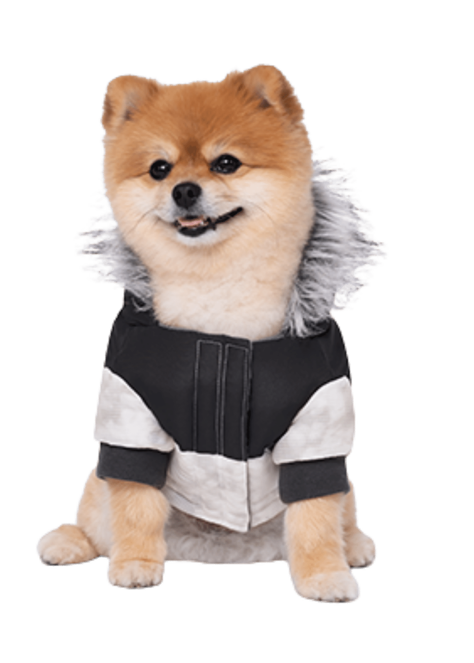 Parka