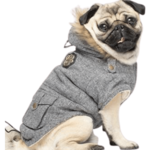 Parka Chien Alaskan – Coloris Sel et Poivre