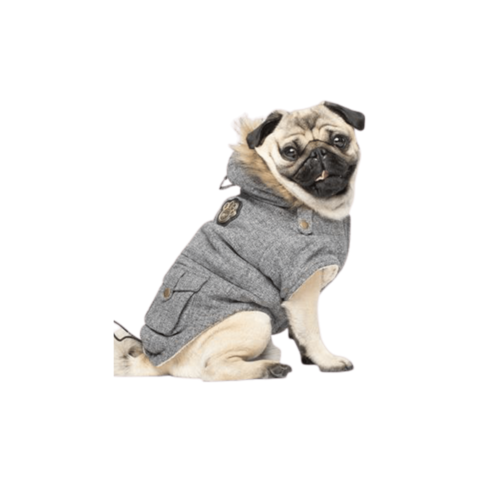 Alaskan Dog Parka – Salt and Pepper Color