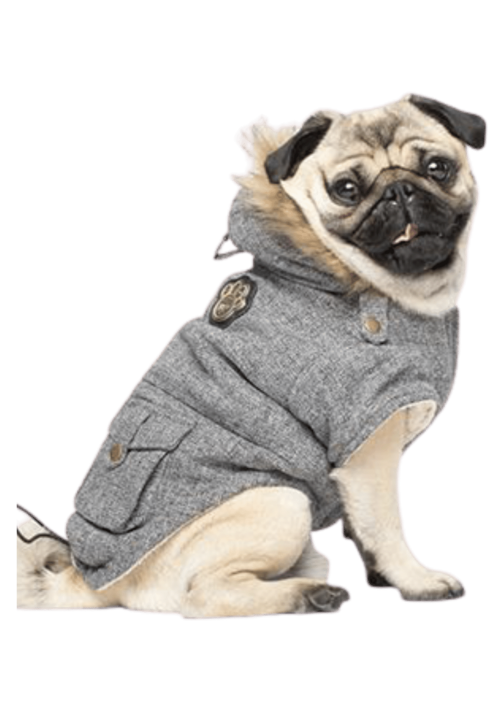 Alaskan Dog Parka – Salt and Pepper Color