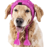 Pink Dog Hat – Warm and Comfortable Accessory for Winter
