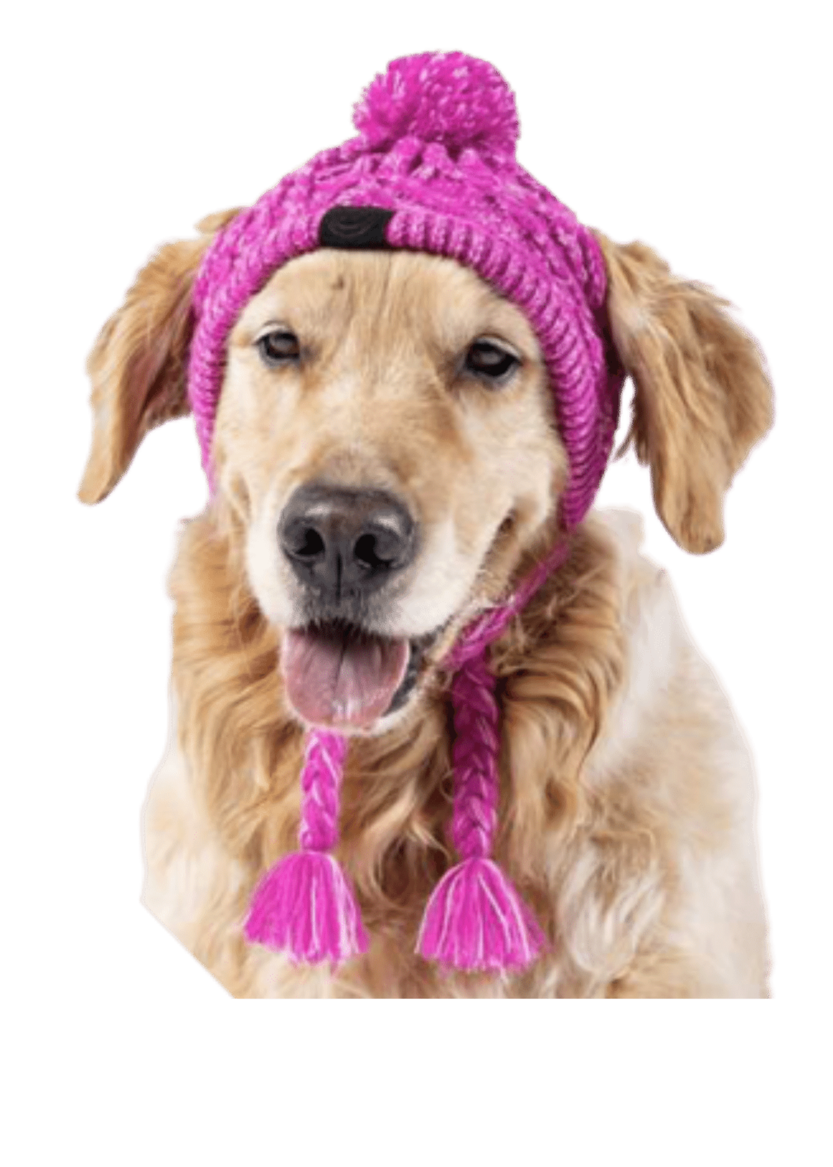 Tuque Rose pour Chien – Accessoire Chaud et Confortable pour l’Hiver