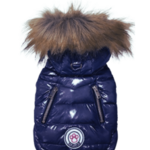 Manteau Chic | Petit Chien | Luxe & Élégance Hivernale