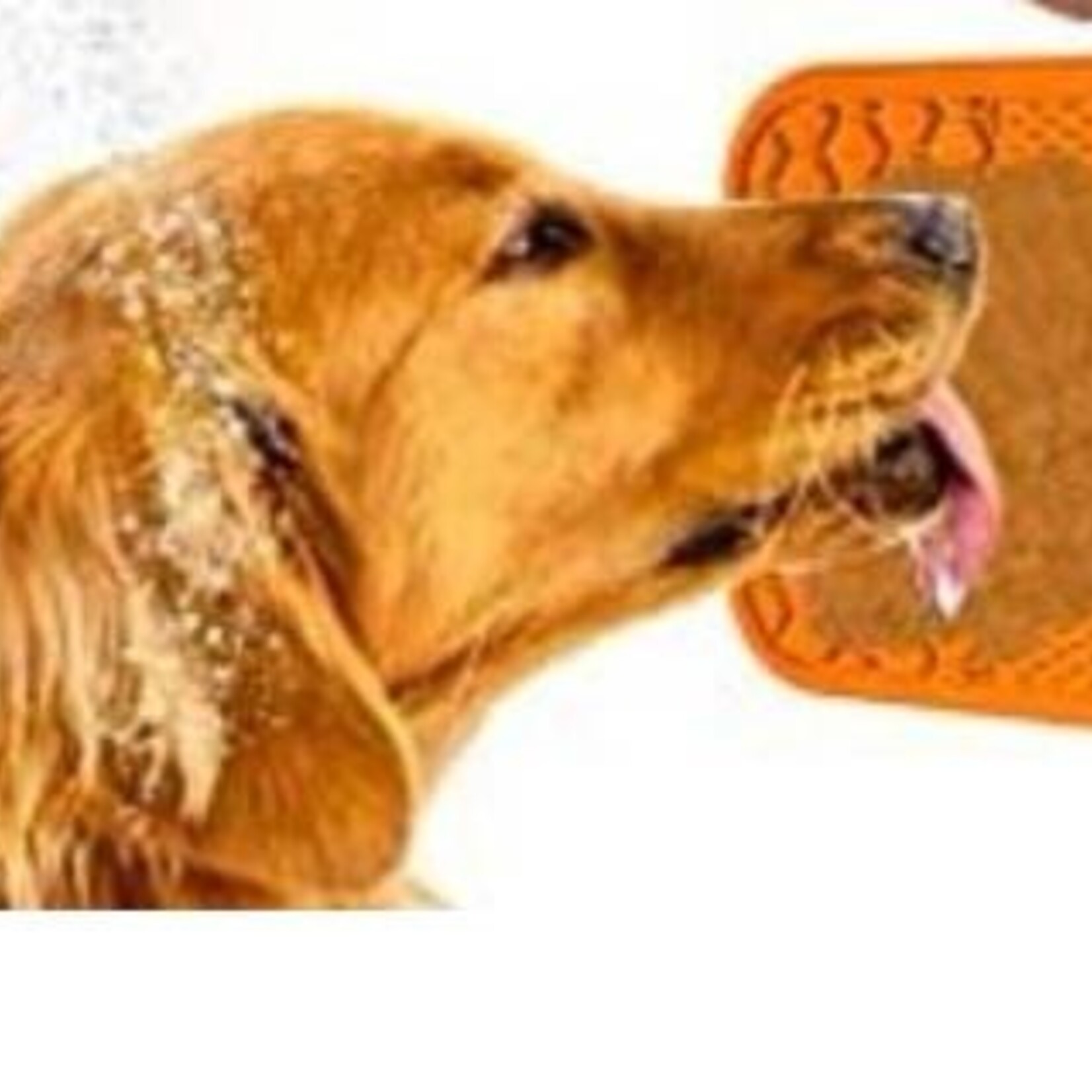 Tapis à lécher pour chien ou chat