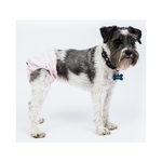 Culotte hygiénique réutilisable pour femelles