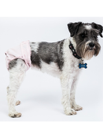 Reusable sanitary panties for females