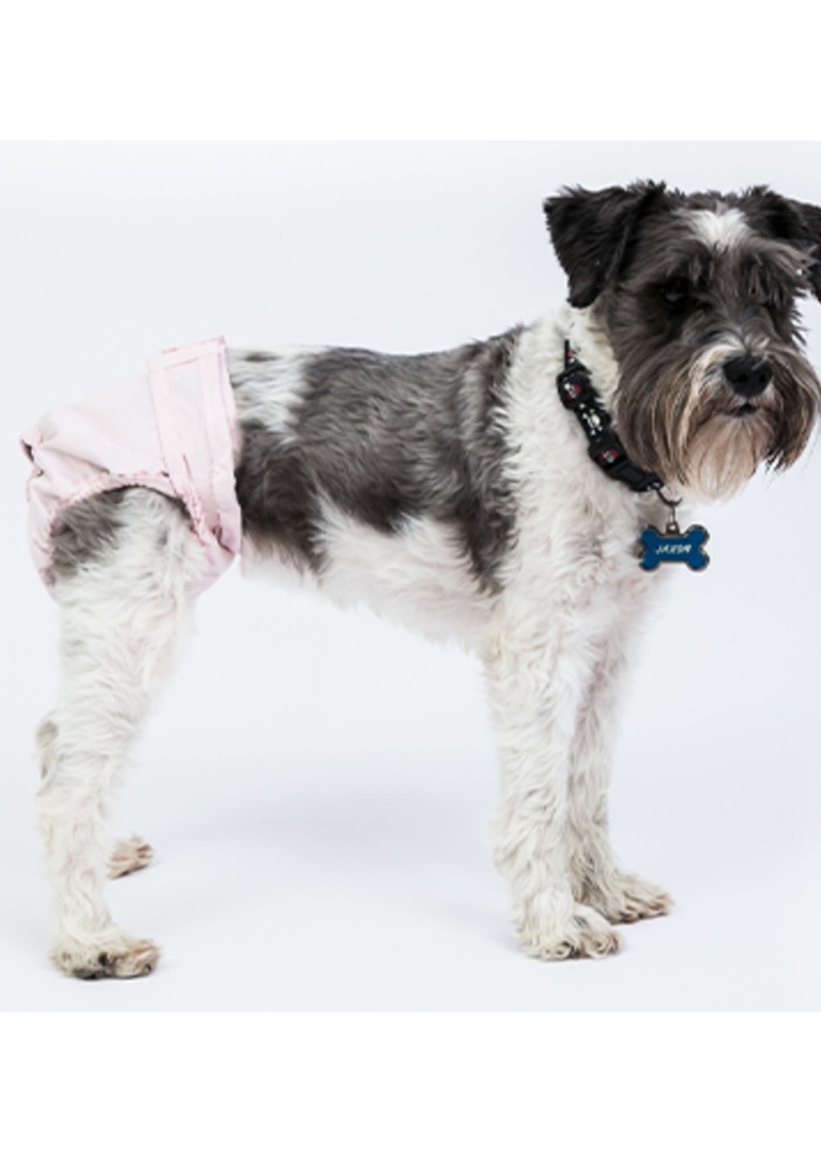 Culotte hygiénique réutilisable pour femelles