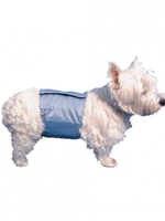 Couche pour Chien Mâle | Bandeau Ventral Réutilisable | Protection Lavable