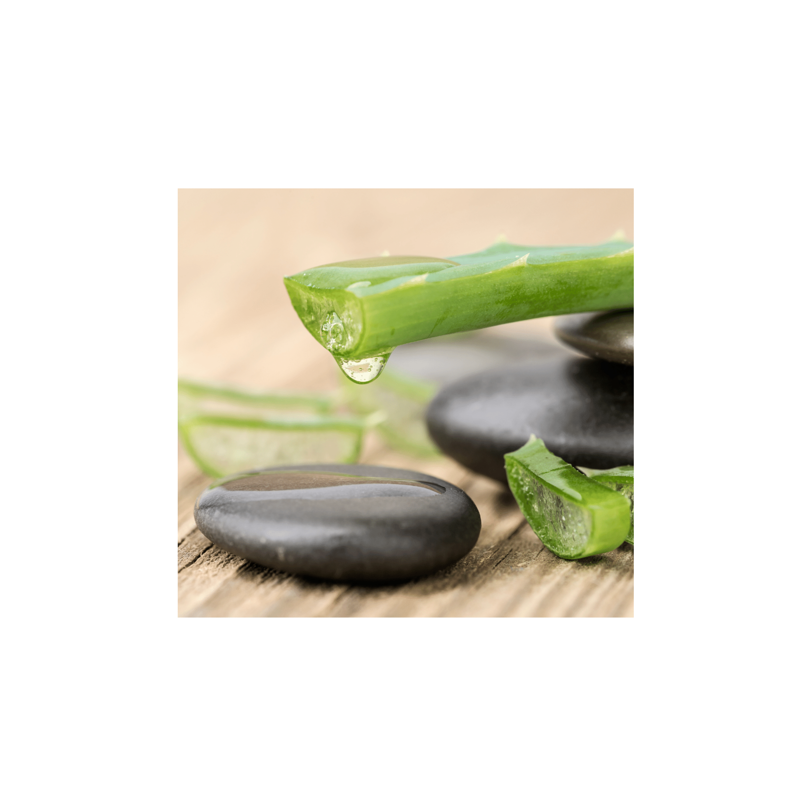 CAT DERMOCARE Collar