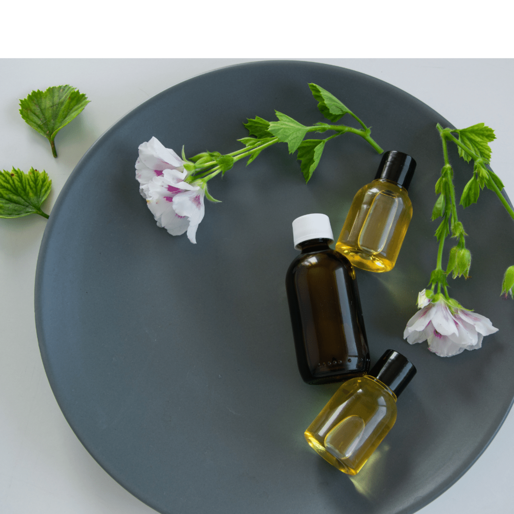 CAT DERMOCARE Collar