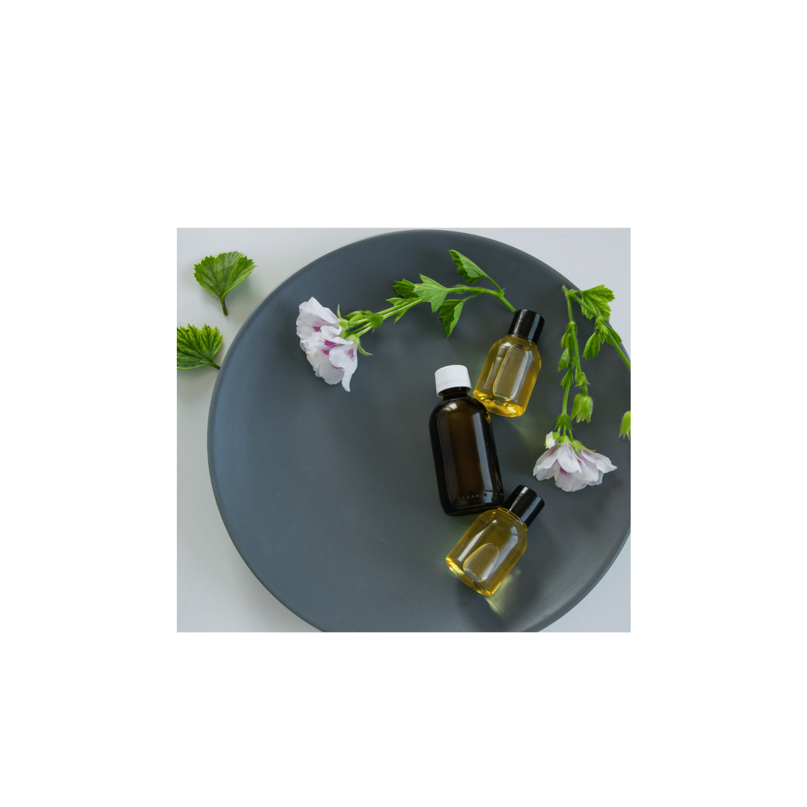 Collier CHAT DERMOCARE
