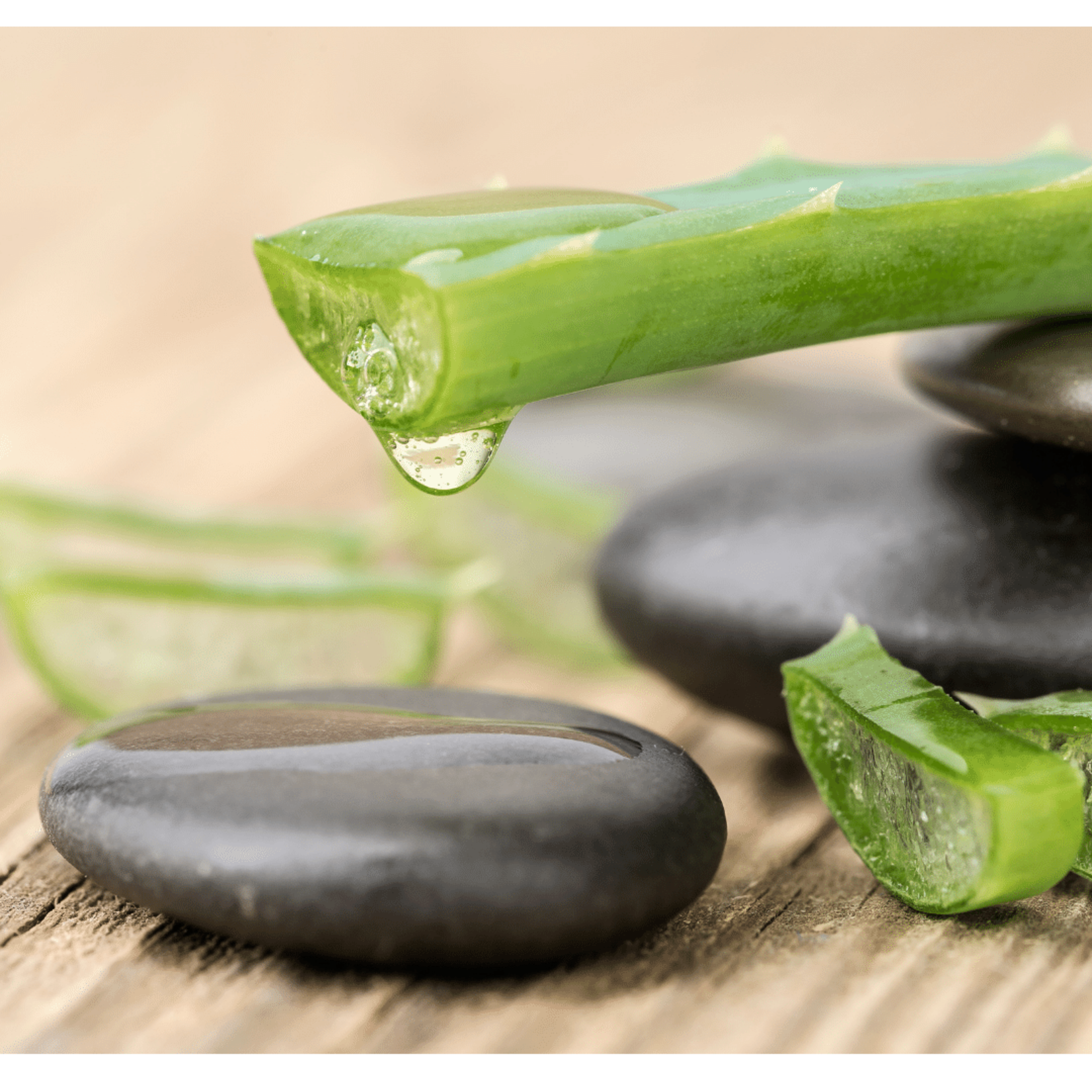 DERMOCARE Dog Collar