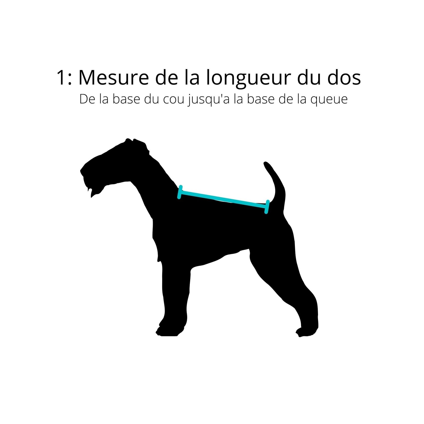 MANTEAU CLASSIQUE