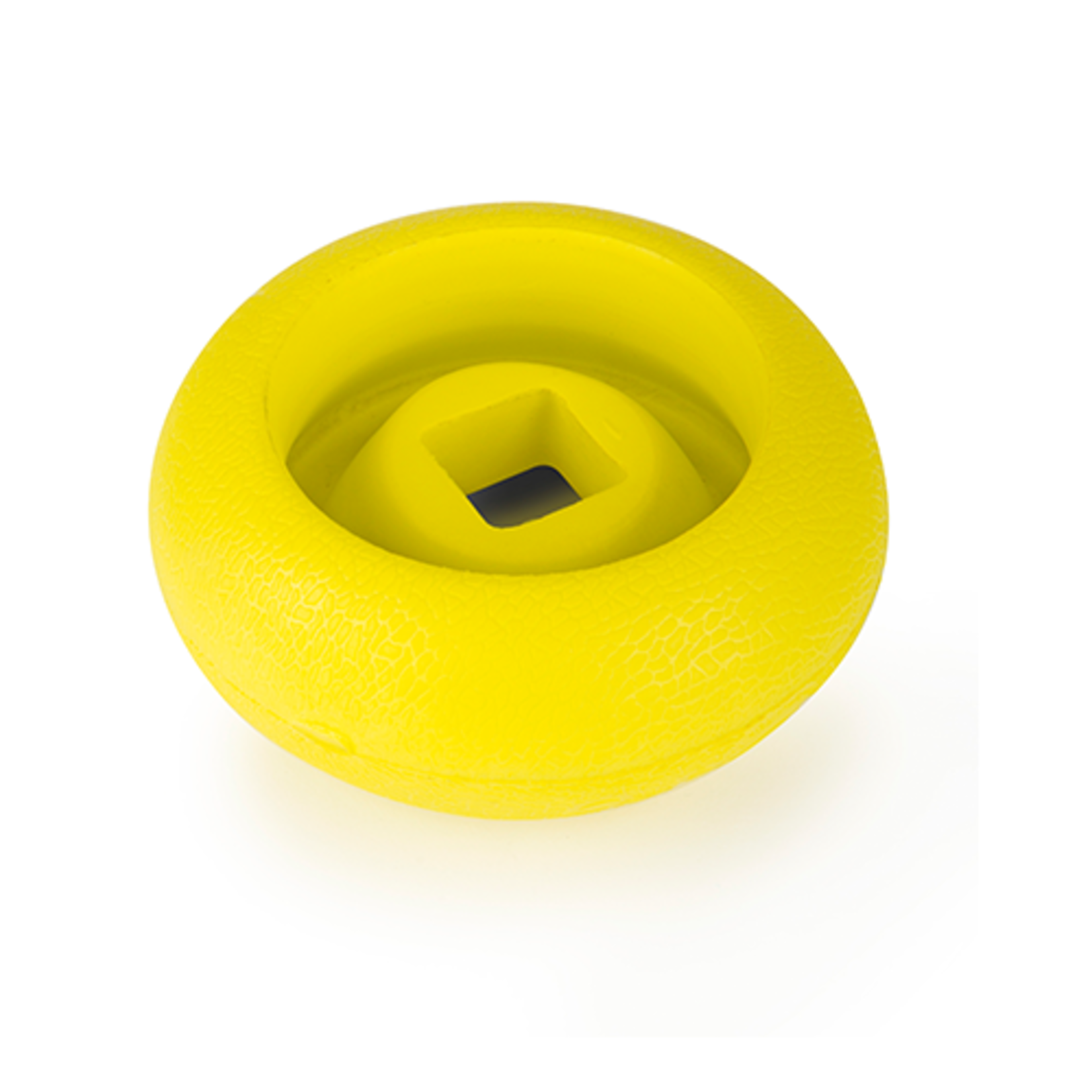 Dog Toy floats
