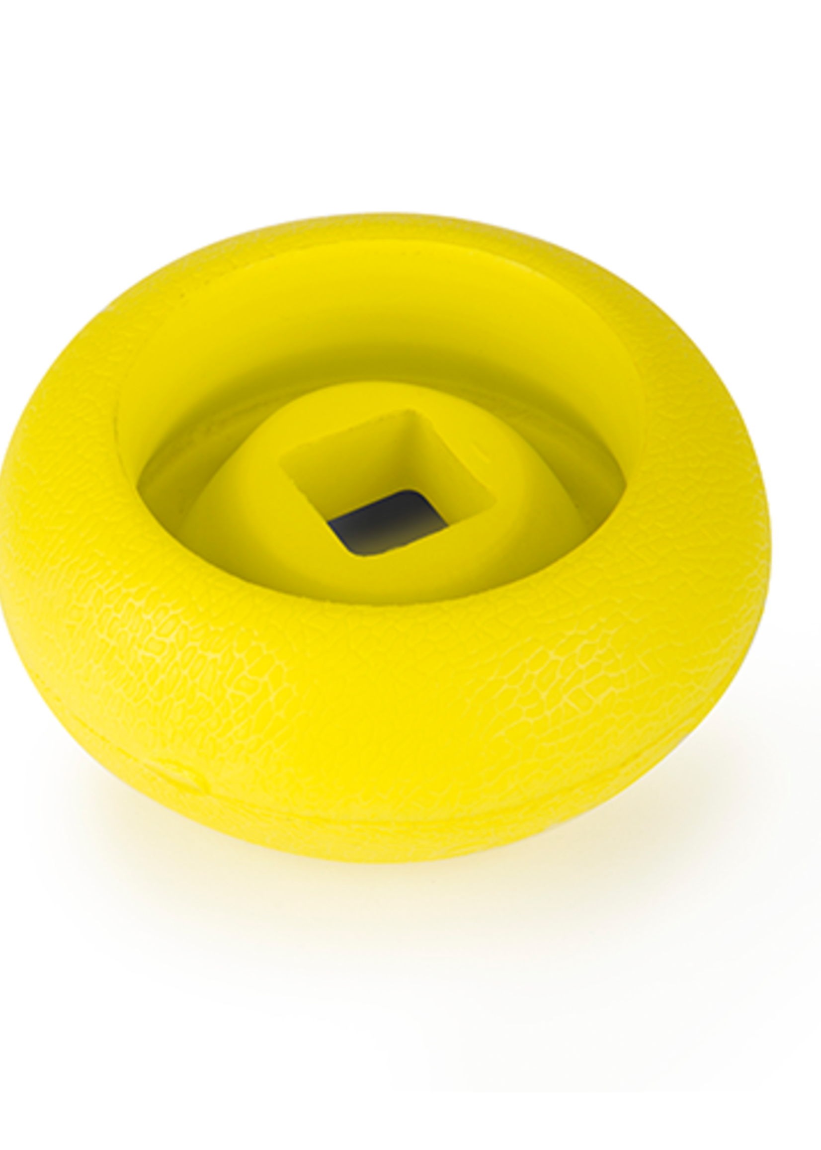 Dog Toy floats
