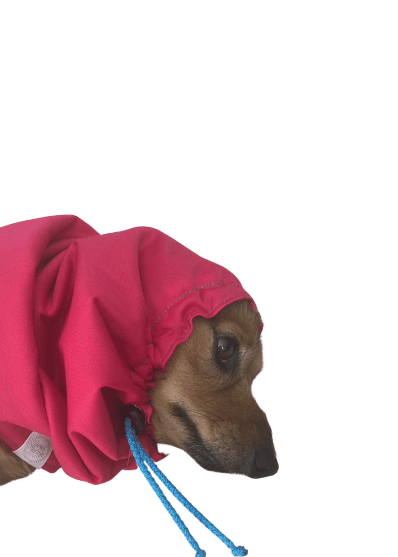SNOOD