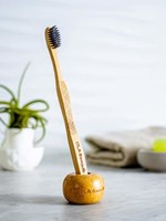 Support pour brosse a dents