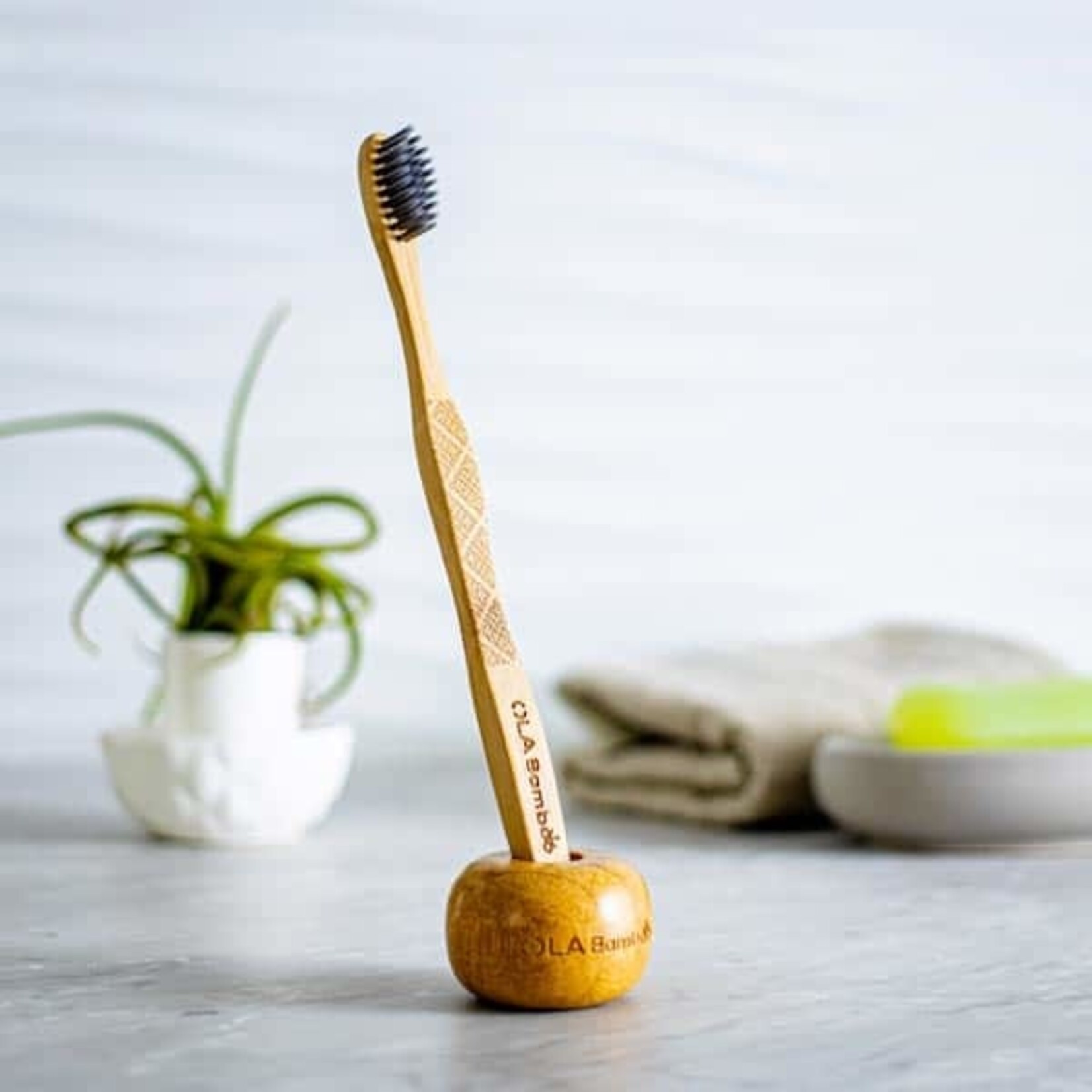 Support pour brosse a dents