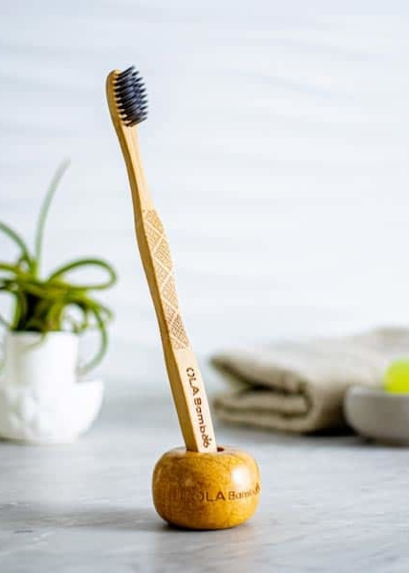 Support pour brosse a dents