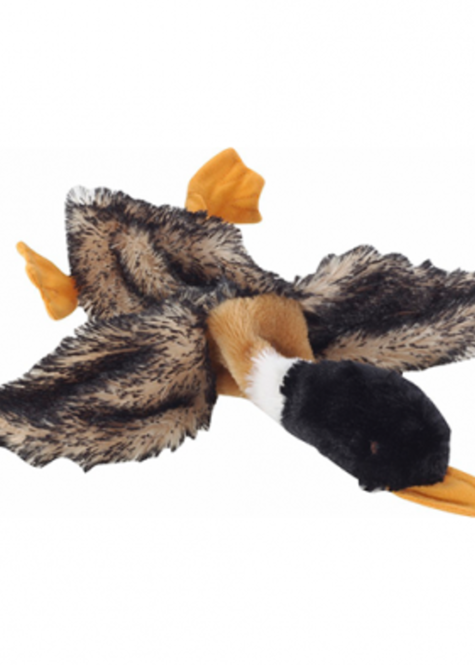 CANARD COLVERT