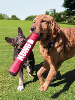 kong Stick for dogs