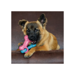 kong Jouet pour chiots