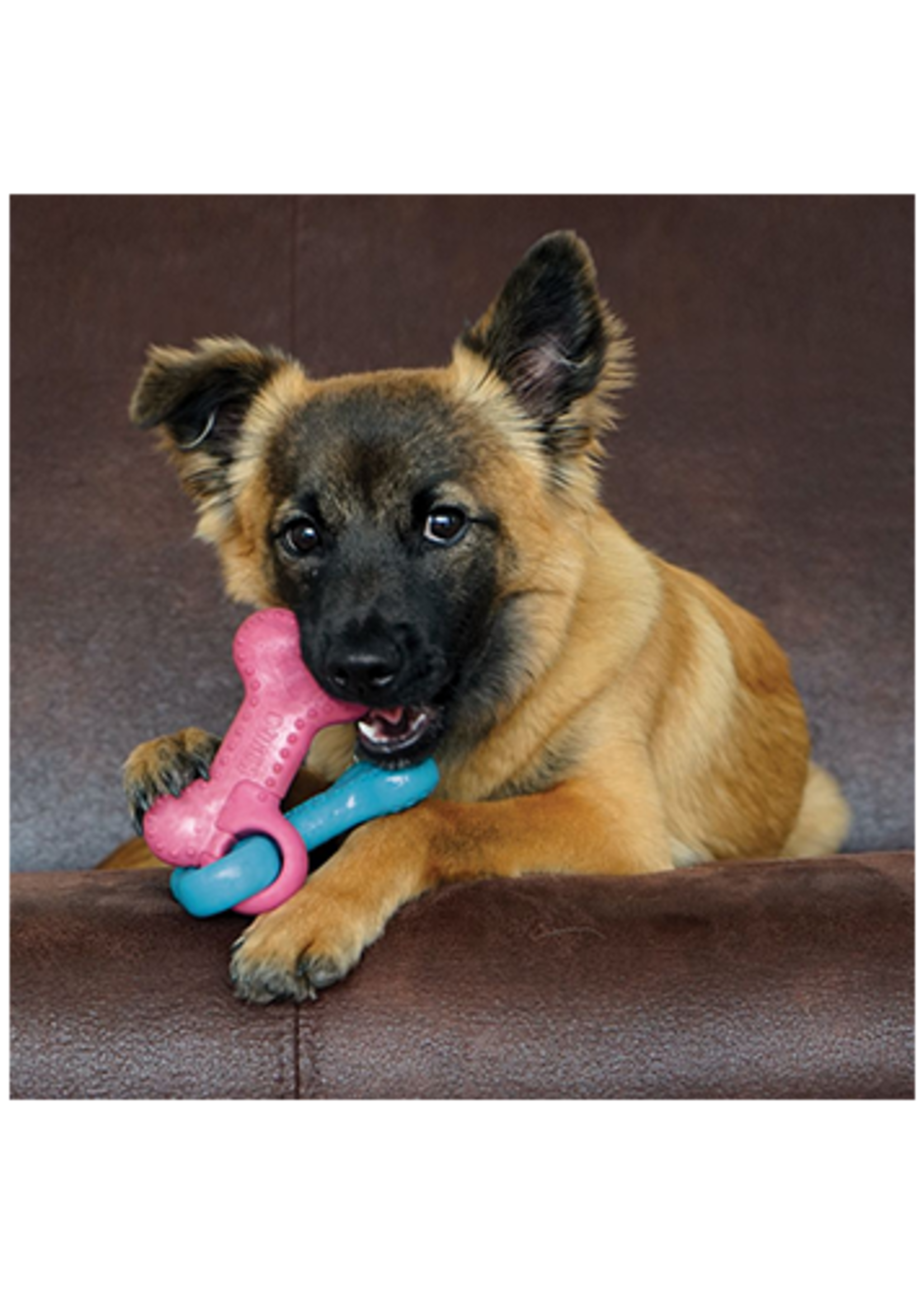 kong Jouet pour chiots