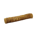 TRACHÉE DE BOEUF