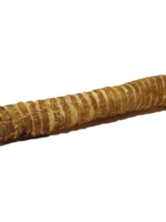 TRACHÉE DE BOEUF