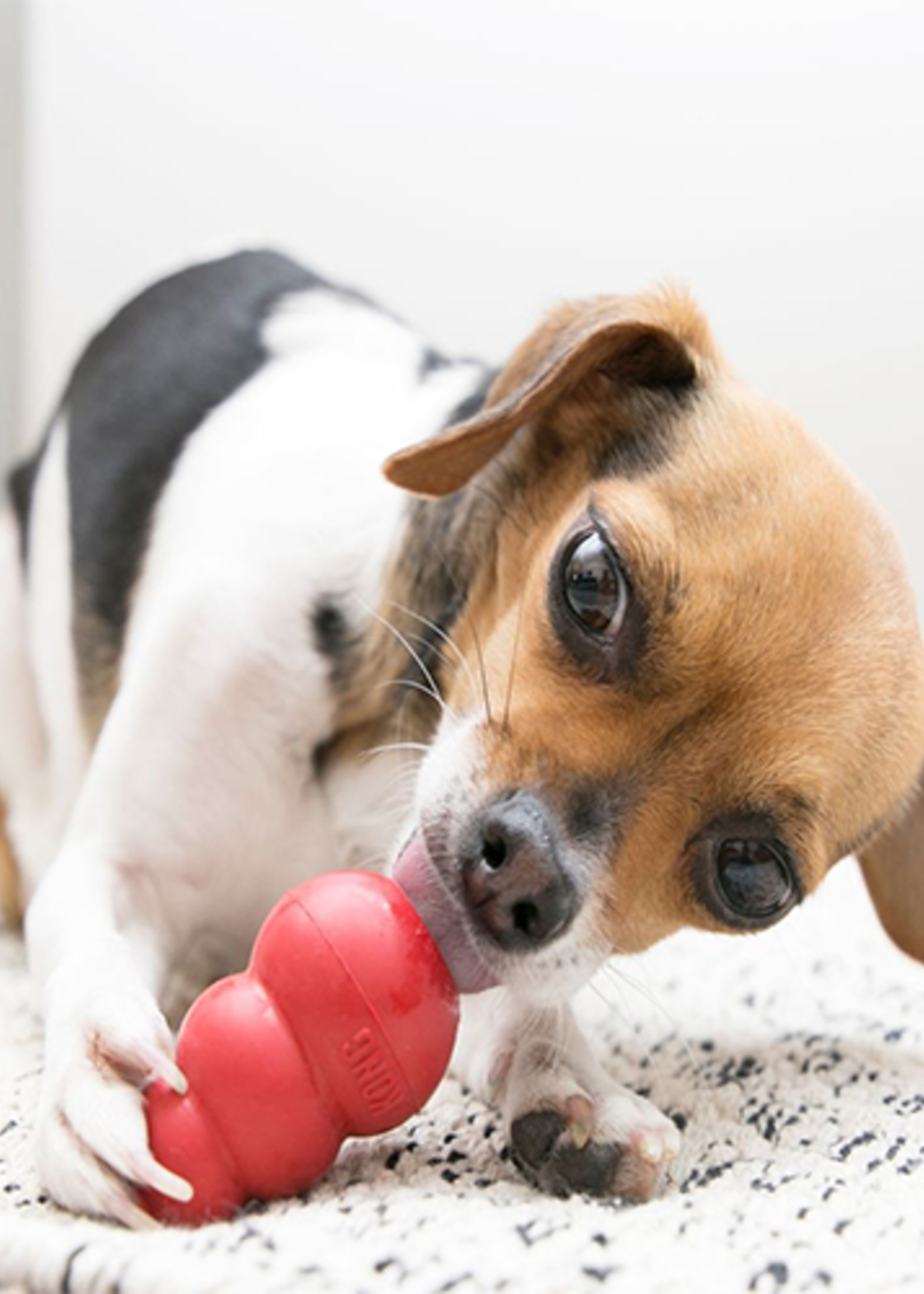 kong CLASSIC KONG DOG TOY