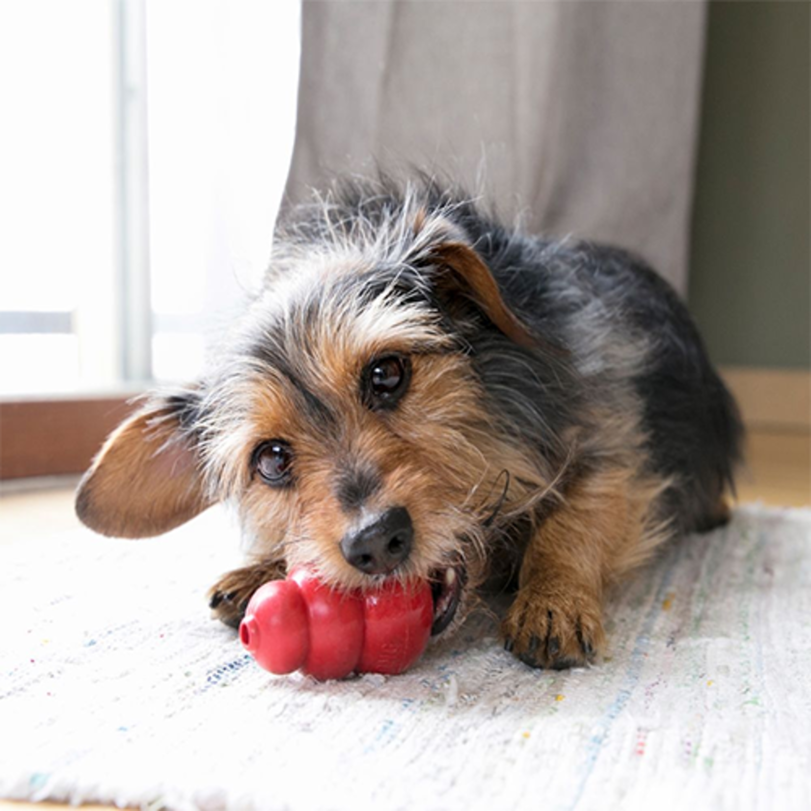 kong CLASSIC KONG DOG TOY