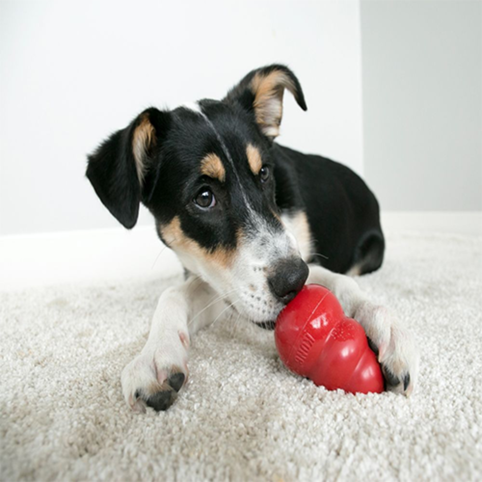 kong CLASSIC KONG DOG TOY