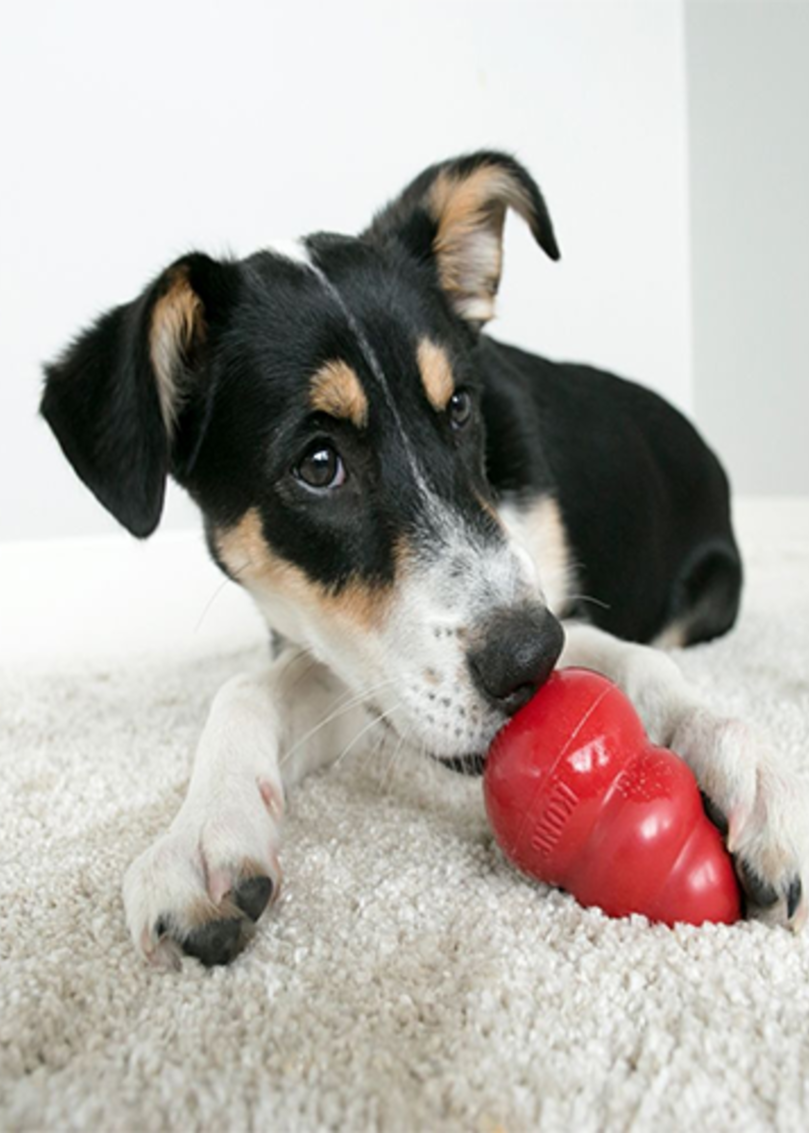 kong CLASSIC KONG DOG TOY