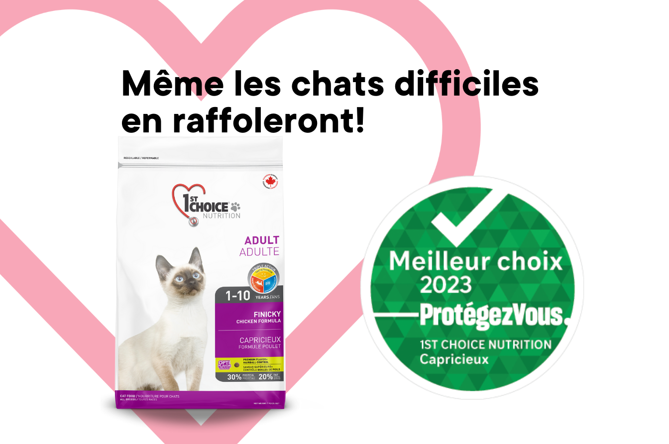 Nourriture Santé Urinaire pour Chats - 1st Choice