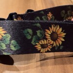 Adjustable collar for large dogs