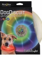 Flashlight dog discuit