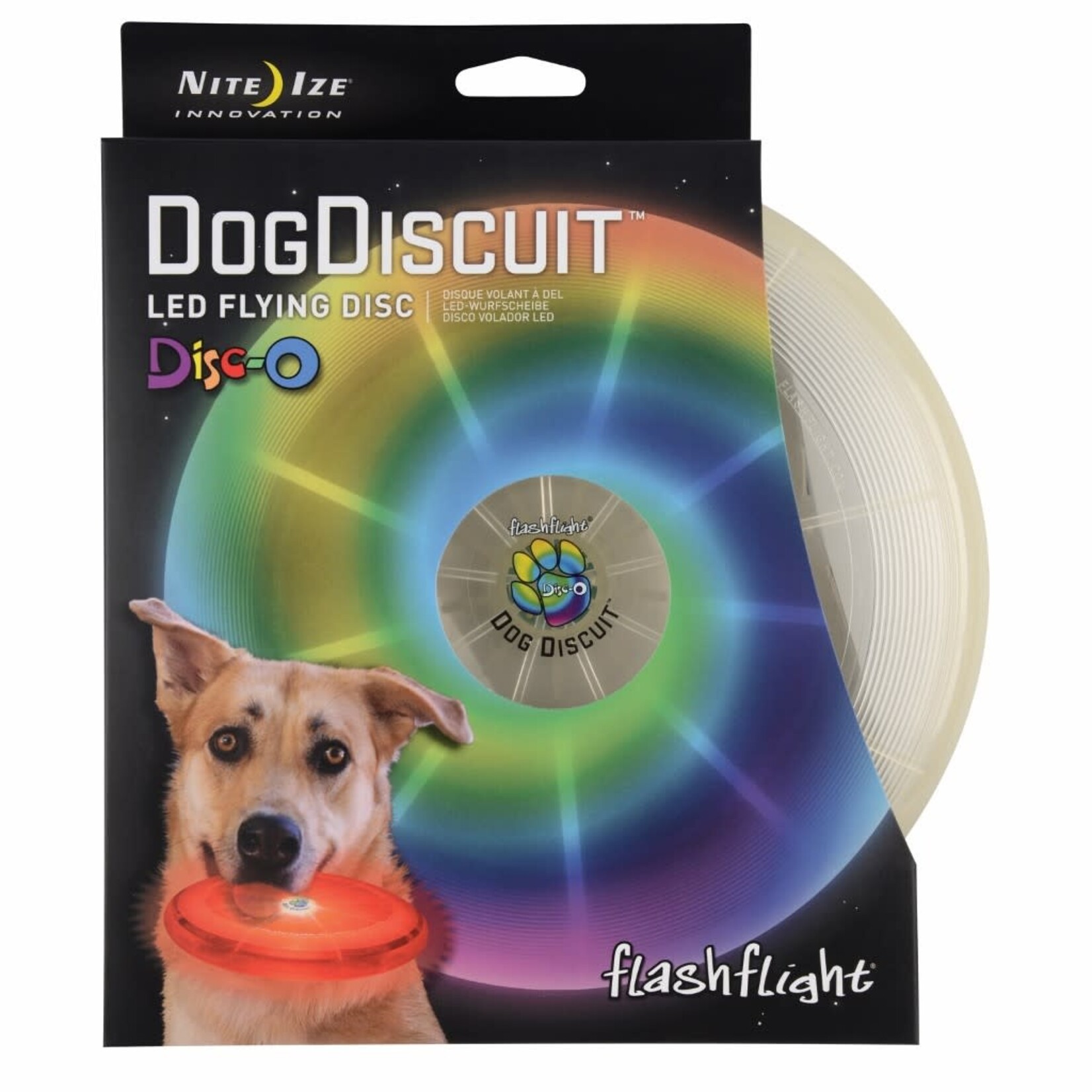Flashlight dog discuit