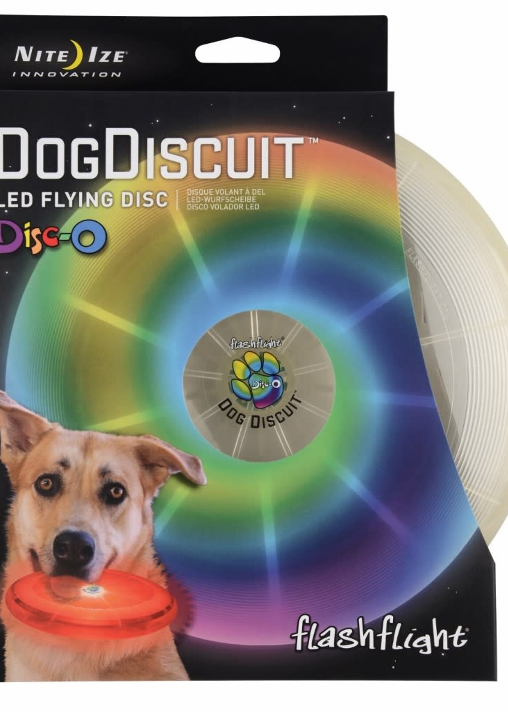 Flashlight dog discuit
