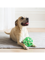 BALLON POUR CHIEN