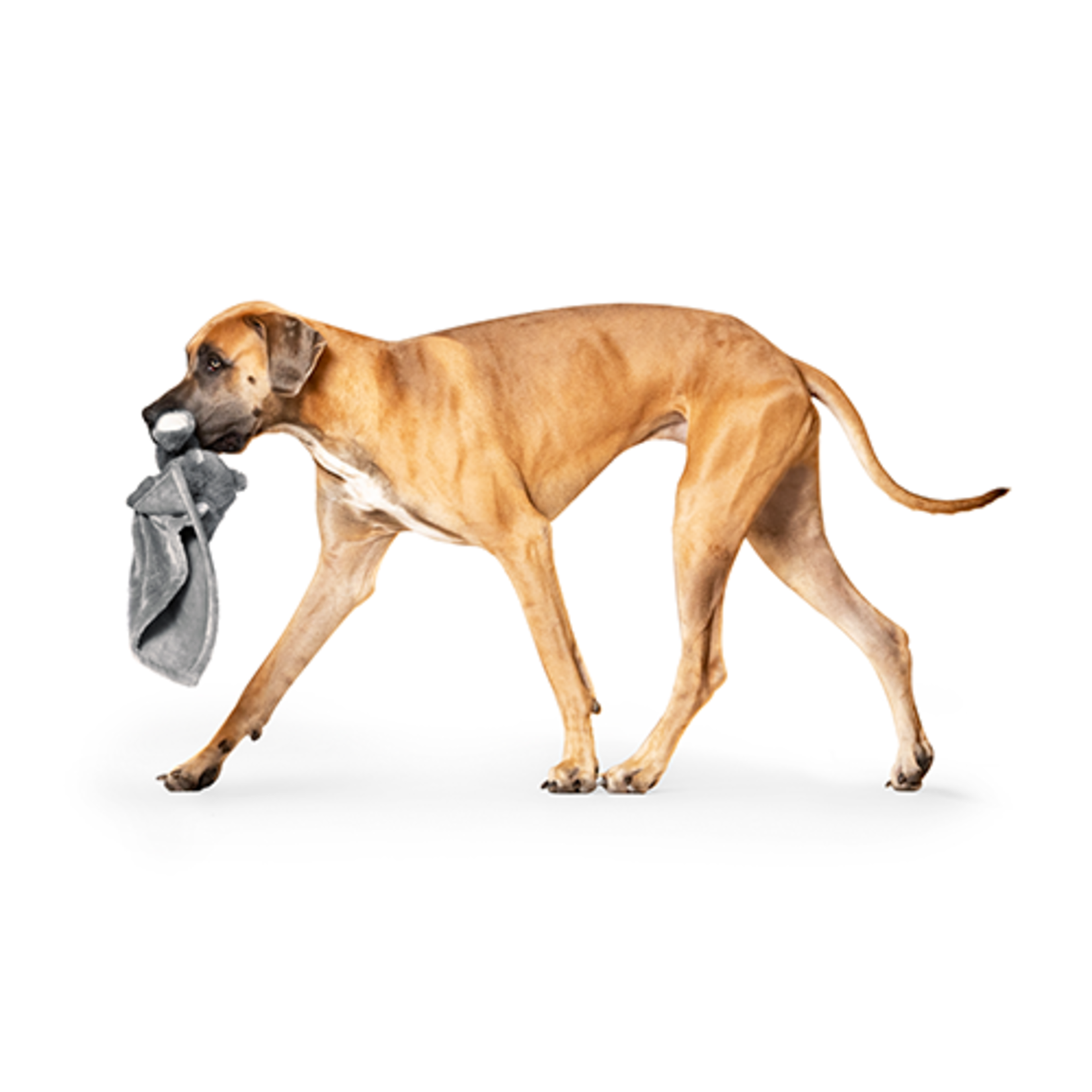 Weighted calming Toy