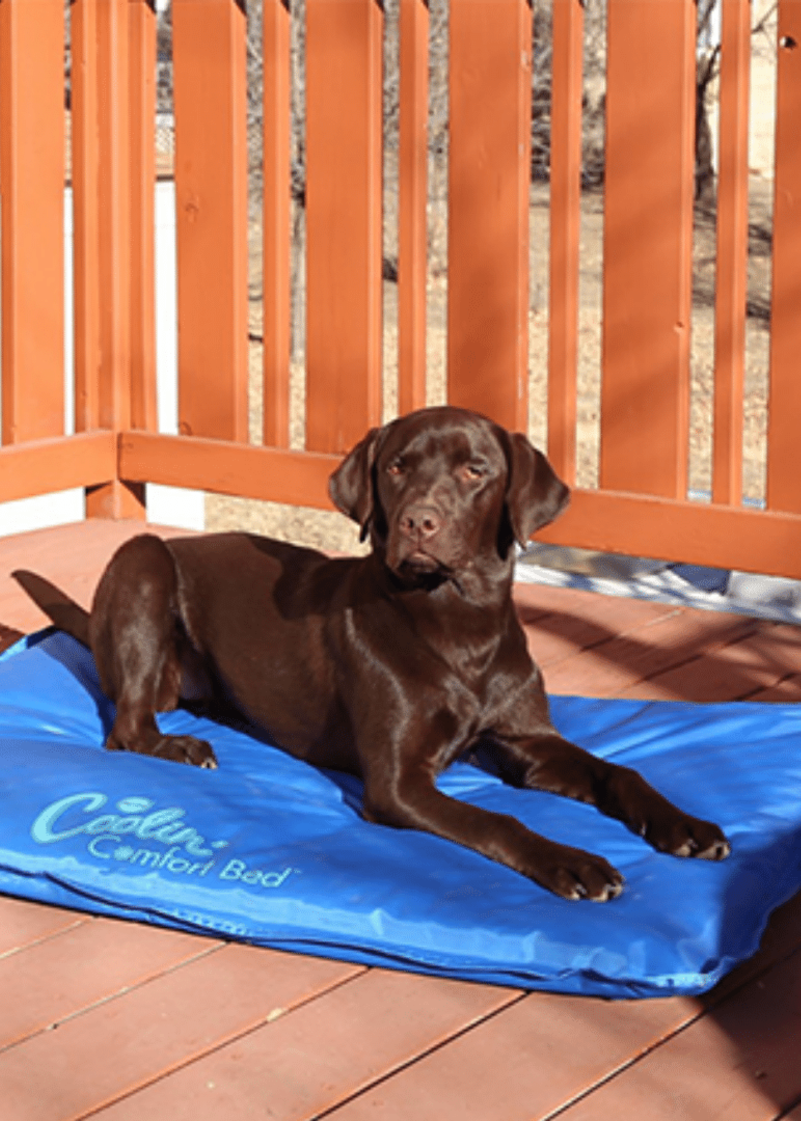 Cooling comfort bed