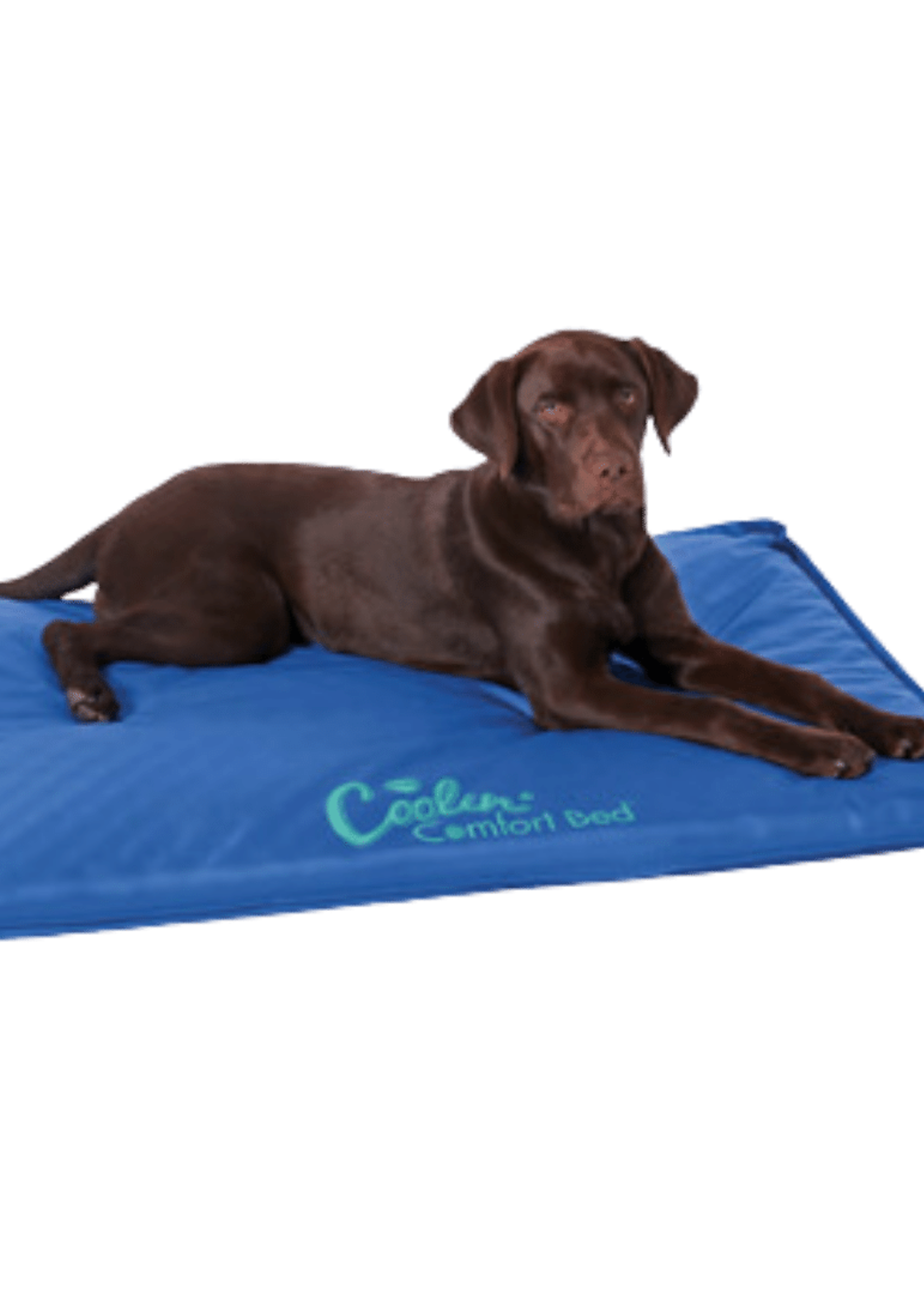 Cooling comfort bed