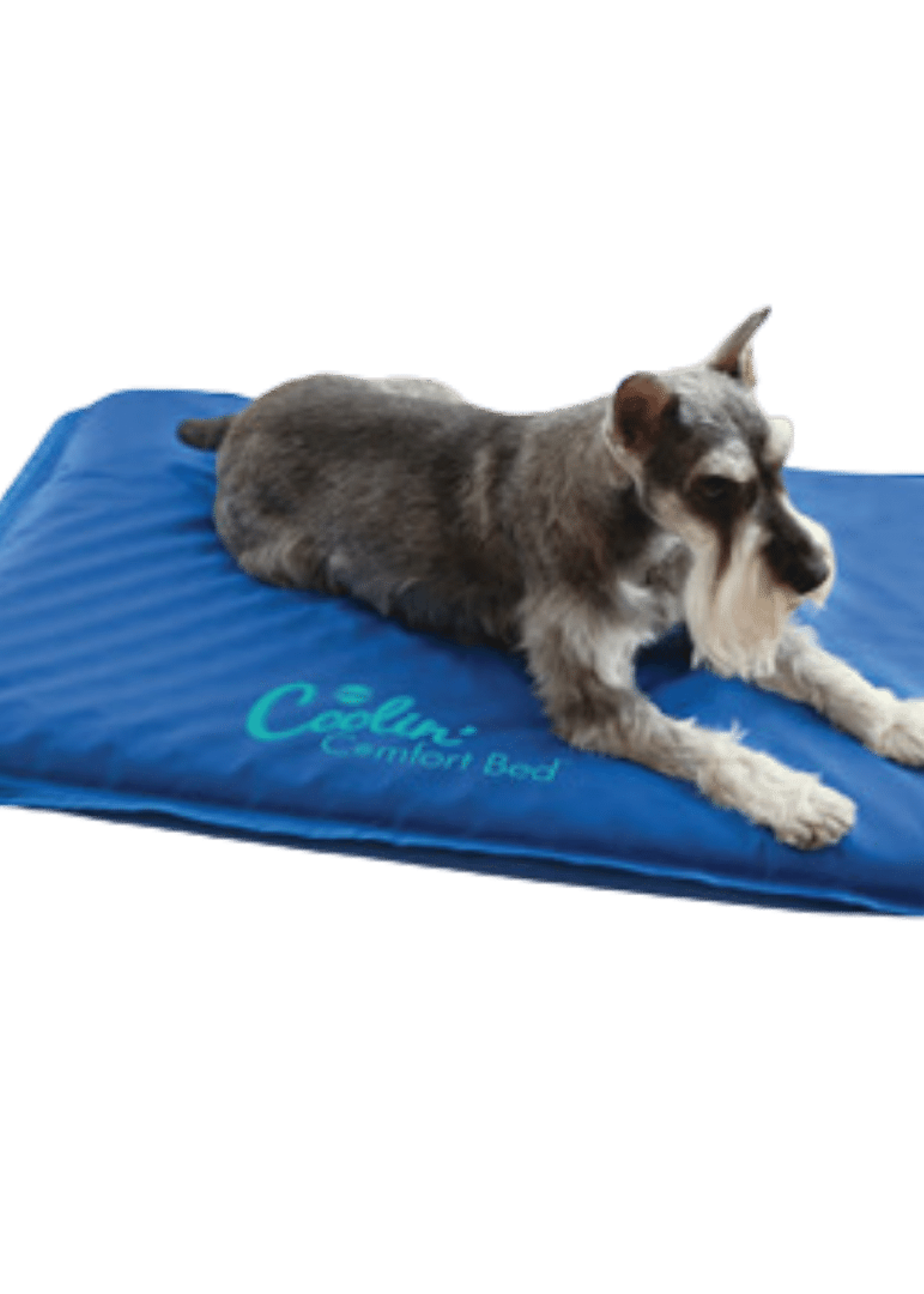 Cooling comfort bed