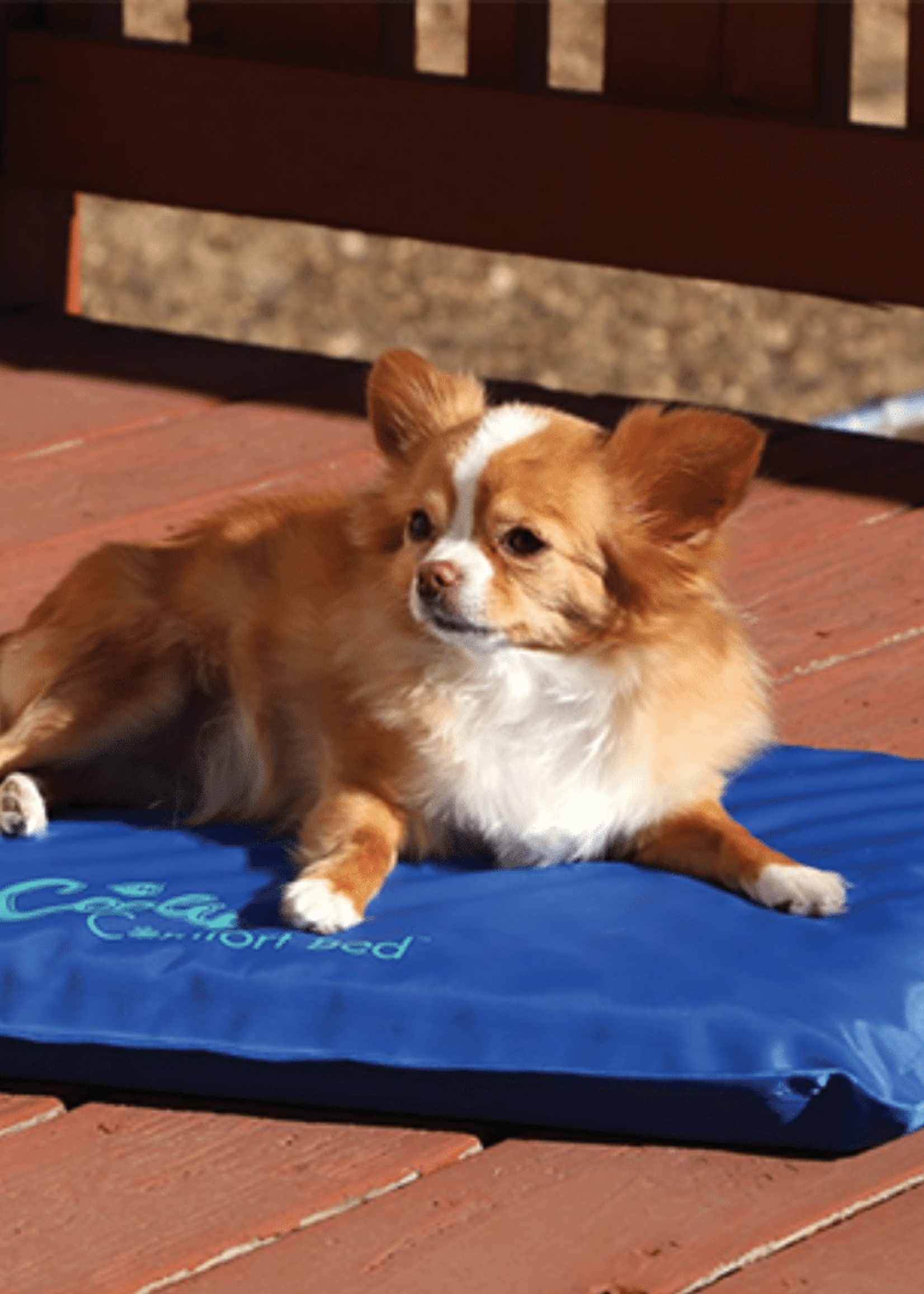 Cooling comfort bed