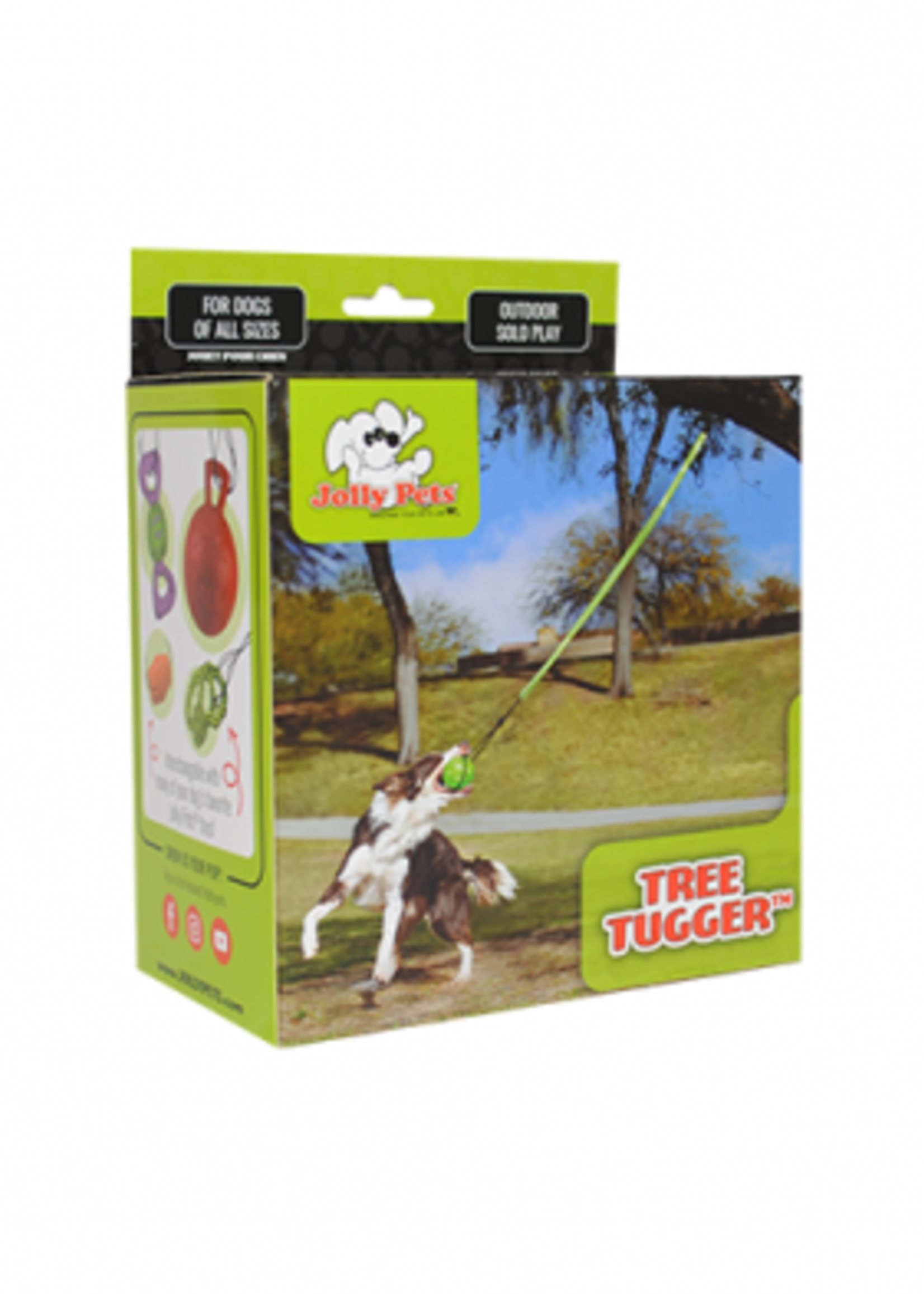 TIR A L'ARC MODERNE POUR CHIEN