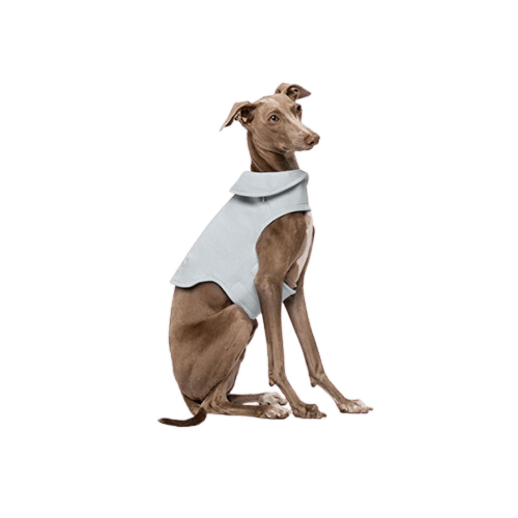 Weighted Calming Vest for Dogs | Stress and Anxiety Reduction