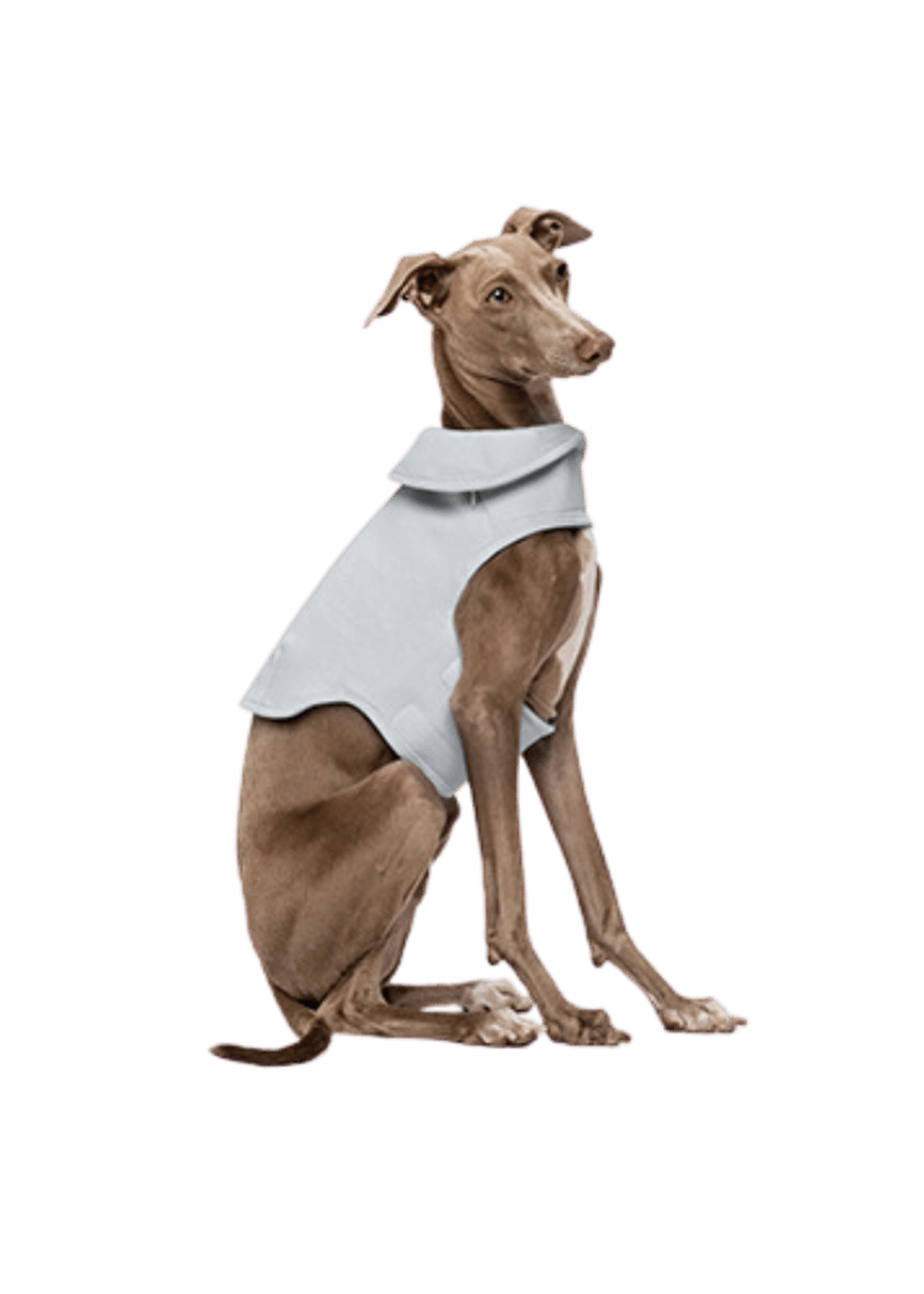 GILET CALMANT LESTÉ POUR CHIENS